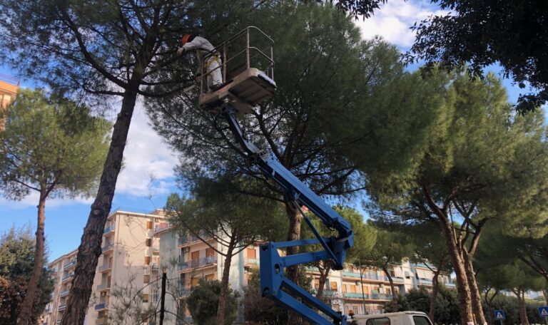 Interventi sul verde pubblico per garantire la sicurezza stradale