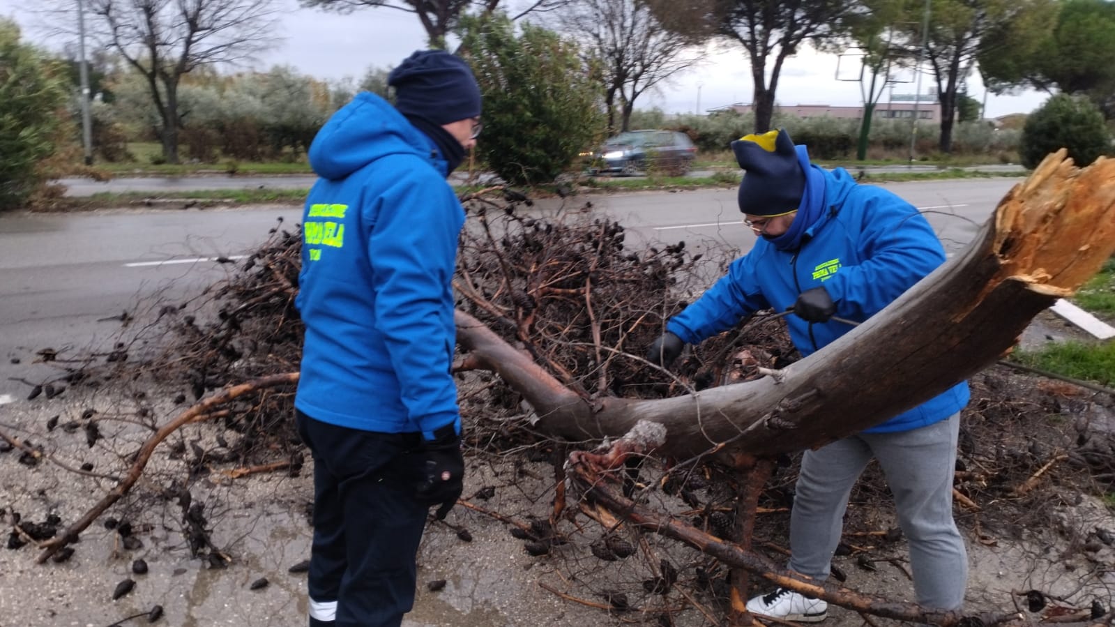 Allerta meteo gialla, la Protezione Civile sta intervenendo per rimuovere gli alberi caduti in città